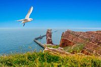 Insel Helgoland mit Langer Anna in der Nordsee