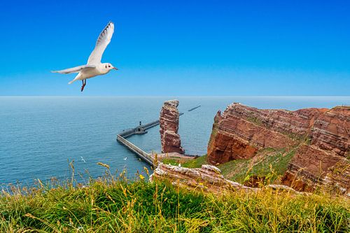 Het eiland Helgoland met Langer Anna in de Noordzee