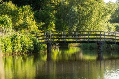 Brücke über das Wasser in einem Naturschutzgebiet in Zeeland-Flandern.