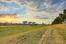 Abendlicht über den Poller Wiesen in Köln