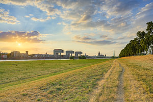 Lumière du soir sur les prairies de Poller à Cologne