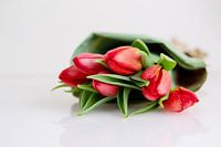 Bunch of red tulips