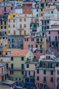Farbige Häuser in Cinque Terre von Felix Van Lantschoot