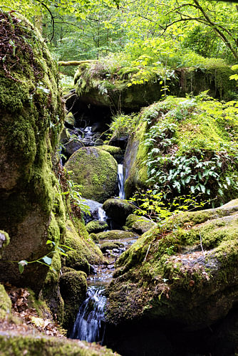 Idyllische Gertelbach-Wasserfälle, umgeben von grünem Wald