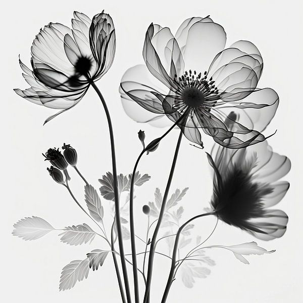 Monochrome Flowers 02 by NJ Midnight Studio