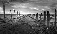Palen op Texel
