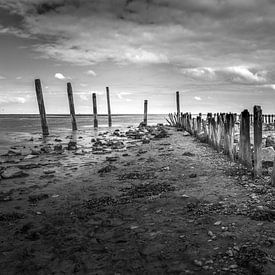 Palen op Texel by Alex Riemslag