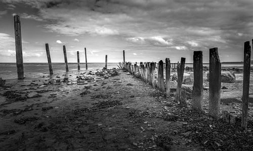 Palen op Texel