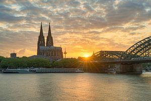 Ambiance du soir sur le Rhin à Cologne