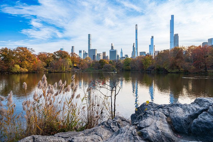 New York skyline vanuit Central Park van Tim Vlielander