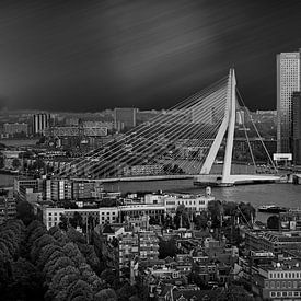 Erasmus Bridge @ Rotterdam by Rob Boon