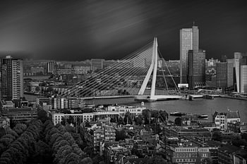 Pont Erasmus @ Rotterdam