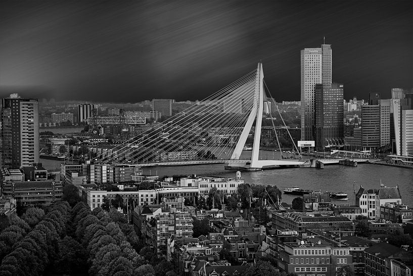 Erasmusbrug @ Rotterdam van Rob Boon