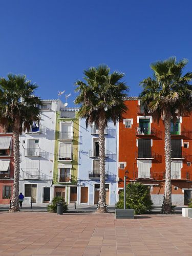 Des maisons colorées avec des palmiers sur la promenade de Villajoyosa