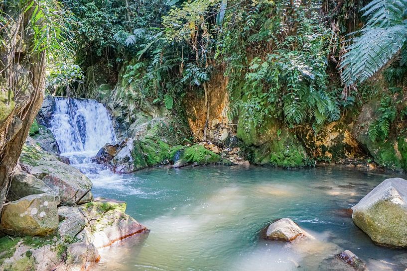 Geheimer Wasserfall von Barbara Riedel