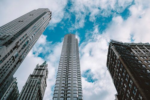 Concrete Jungle New York