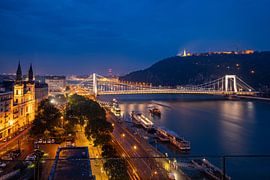 Die Elisabethbrücke von Roland Brack