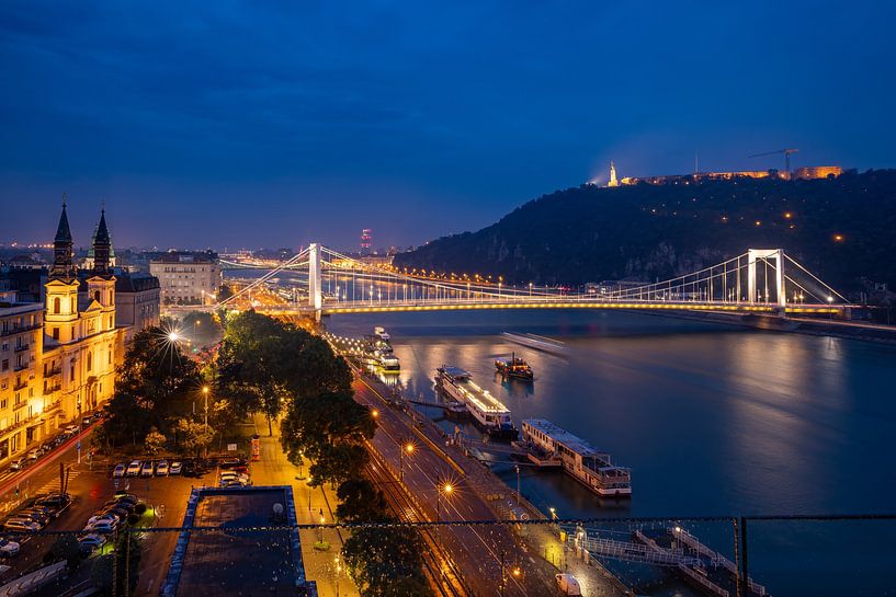 De Elisabethbrug van Roland Brack