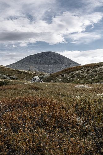 Norvège | Le sommet du Muen dans le parc national de Rondane