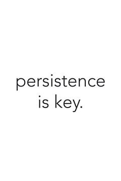 Persistence Is Key van Walljar