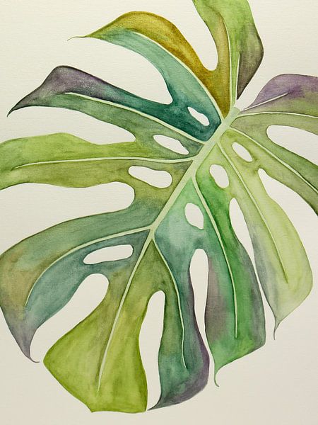 Le Philodendron Monstera panaché 3 de 3 (aquarelle peinture fleurs vertes plante d'intérieur nature  par Natalie Bruns