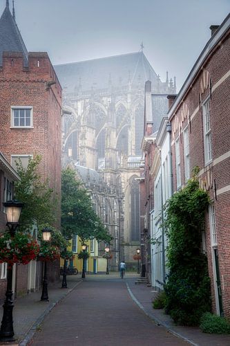 Derrière la cathédrale par un matin brumeux. sur Robin Pics (verliefd op Utrecht)