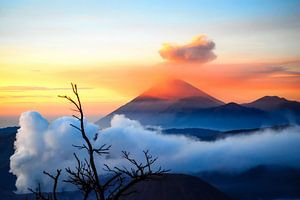 Zonsopgang met mist bij Mount Bromo op Java van Dieter Walther