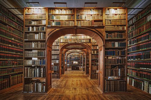 Upper Lausitzian Bibliothèque des sciences, Patrick Aurednik