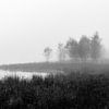 Misty Fen View van William Mevissen