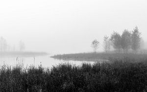 Misty Fen View