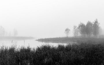 Misty Fen View von William Mevissen