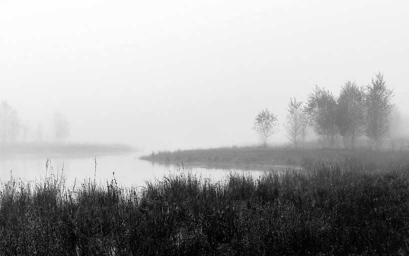 Misty Fen View van William Mevissen