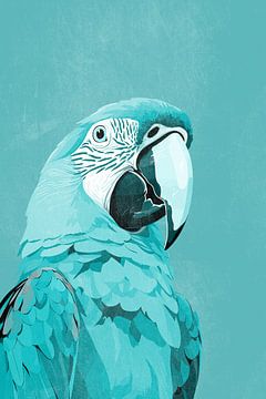 Macaw Parrot in Blue-green by Whale & Sons