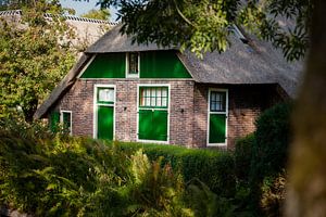 Traditionelles strohgedecktes nord-holländisches Bauernhaus mit grünen Farben