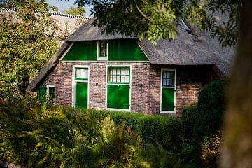 Rietgedekte Nederlandse boerderij met groene kleuren