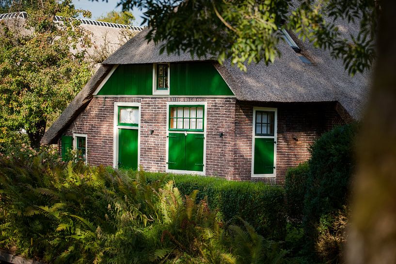 Traditional thatched North Dutch farmhouse with green colors by Fotografiecor .nl