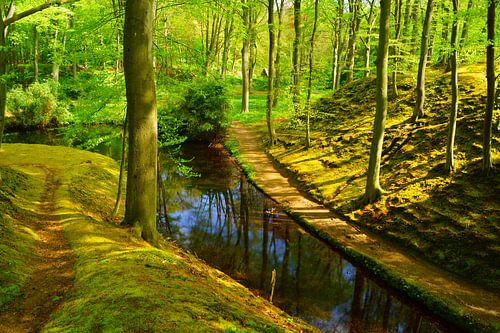 Landgoed Elswout by Michel van Kooten