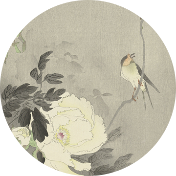 Vogeltje op tak bij bloeiende witte pioenroos van Ohara Koson