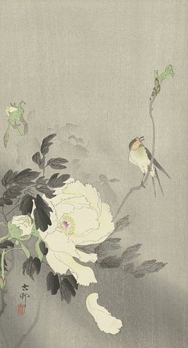 Vogel am Zweig an blühender weißer Pfingstrose von Ohara Koson