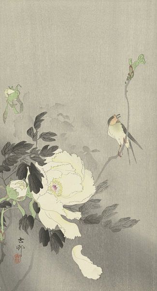 Vogel am Zweig an blühender weißer Pfingstrose von Ohara Koson von Gave Meesters