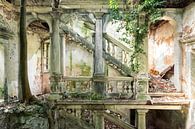 Verlaten villa - herwonnen door de natuur van Times of Impermanence thumbnail