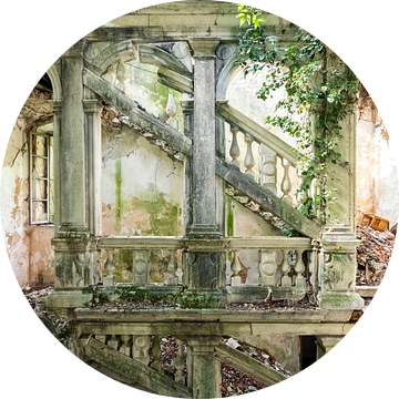 Verlaten villa - herwonnen door de natuur van Times of Impermanence