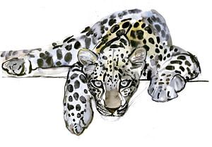 Arabische luipaard van Mark Adlington