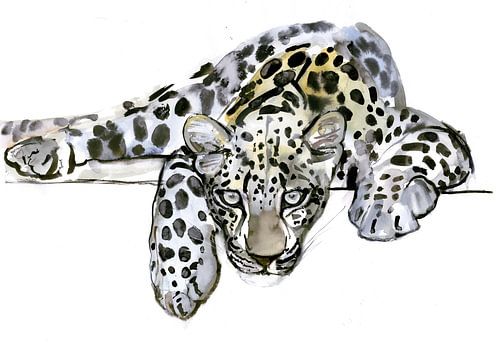 Arabian Leopard