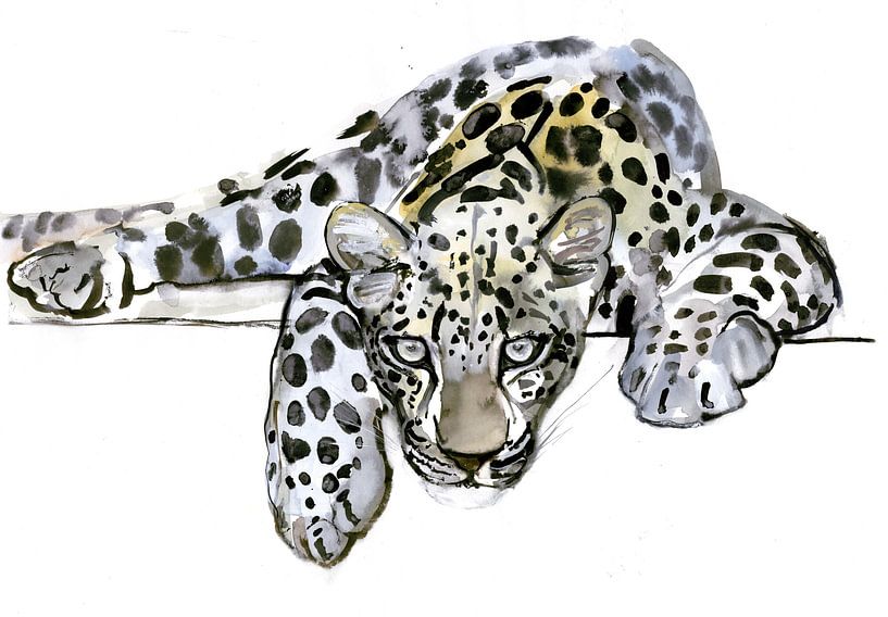 Arabischer Leopard von Mark Adlington