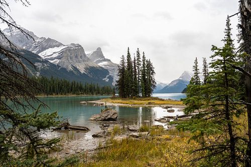 Spirit Island: Droombeeld van Maligne Lake