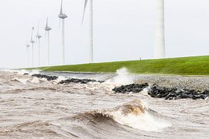 Windturbinen am IJsselmeer-Ufer bei einem Sturm