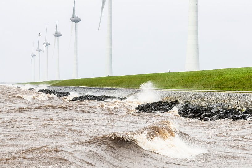 Éoliennes sur la rive de l'IJsselmeer lors d'une tempête par Sjoerd van der Wal Photographie