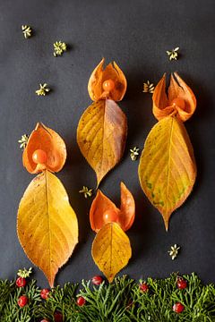 Bougies de l'Avent sur Marlieke van der Willik