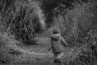 493. DER WANDER